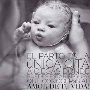 Meet your Posher, Brothers